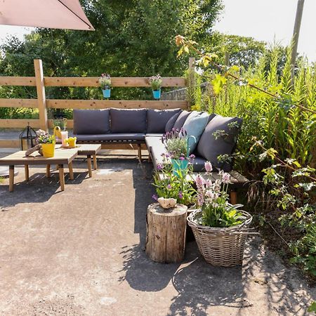 Apartament Bed Met Paard Bergen op Zoom Zewnętrze zdjęcie