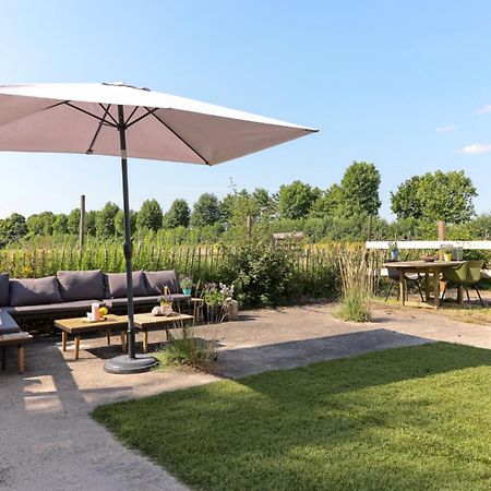 Apartament Bed Met Paard Bergen op Zoom Zewnętrze zdjęcie